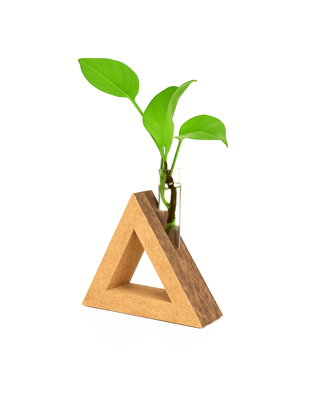 Cork Planter (triangle shape)