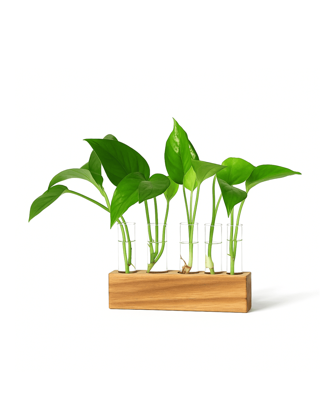 Cork test tube planter (4 Hole)