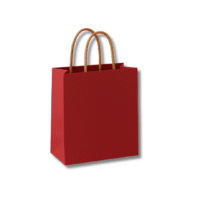 Designer Paper Bag (8×10 inches) Designer Paper Bag (8×10 inches)