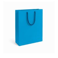 Designer Paper Bag (8x10 inches) Designer Paper Bag (8x10 inches)