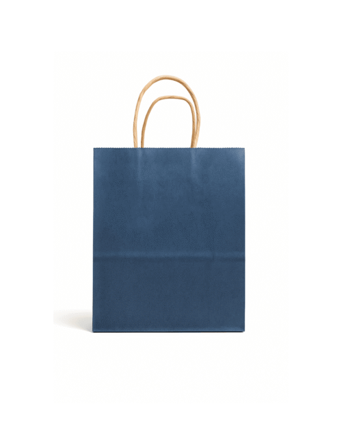 Designer Paper Bag (8x10 inches)