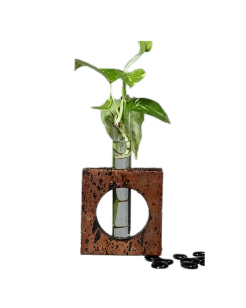 Sustainable - Cork & Charm Desk Collection (5) Cork & Charm Desk Collection