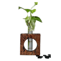 Sustainable Desk Delight